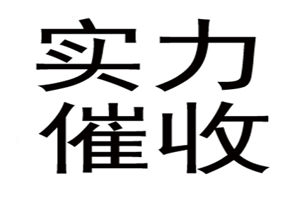 无赔偿能力诉讼困境应对策略